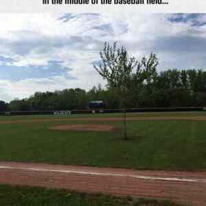 Obrázek 'Next&nbsp;Level&nbsp;Stuff&nbsp;Here'