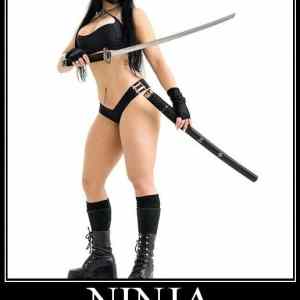 Obrázek 'Ninja 200611'