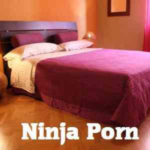 Obrázek 'Ninja Porn'