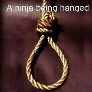 Obrázek 'Ninjas 301111'