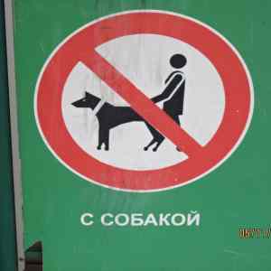 Obrázek 'No Dog Sex'