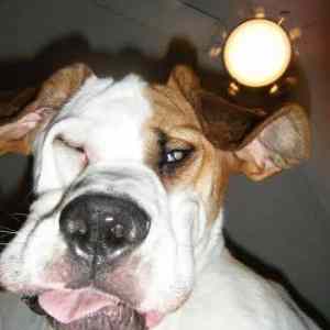 Obrázek 'No&nbsp;more&nbsp;tequila&nbsp;for&nbsp;me'