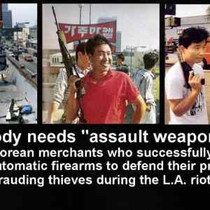 Obrázek 'Nobody&nbsp;needs&nbsp;assault&nbsp;weapons'