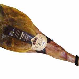 Obrázek 'Noha&nbsp;z&nbsp;Modusovky'