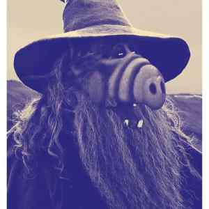 Obrázek 'Not all those who wander are lost'