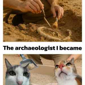 Obrázek 'Not that kind of dig'