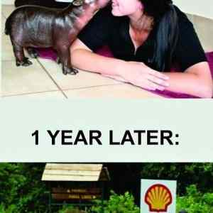 Obrázek 'Now-Later 03-04-2012'