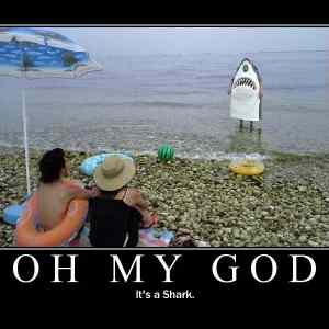 Obrázek 'OMG shark'