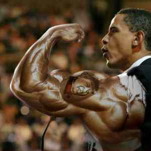 Obrázek 'Obama seems legit'