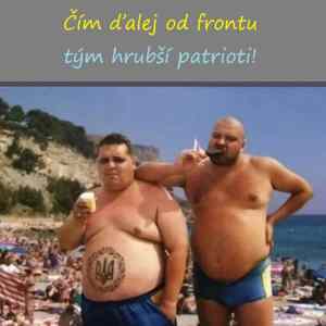 Obrázek 'Obranny system Patriot'