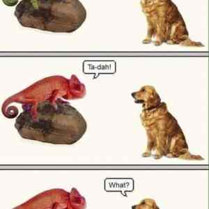 Obrázek 'Off-color&nbsp;joke'