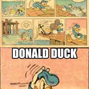 Obrázek 'Oh Donald 01-01-2012'