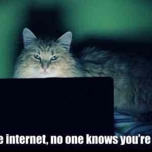 Obrázek 'On The Internet No One Knows You re A Cat'
