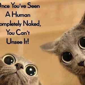 Obrázek 'Once Youve Seen A Human'