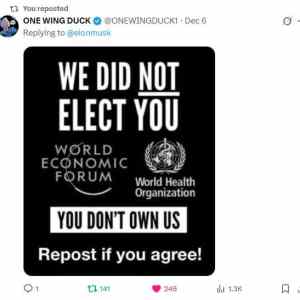 Obrázek 'Opravdu jsme WEF - ruZZkem vedenej projekt jak znicit Evropu nevolili'