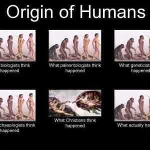 Obrázek 'Origin of humans - 29-05-2012'