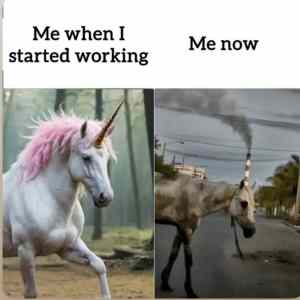 Obrázek 'Ostravsky unicorn'