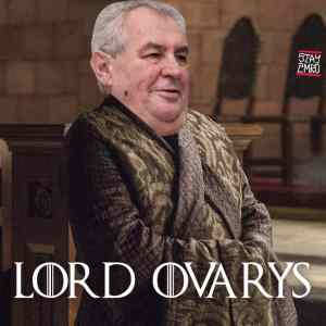 Obrázek 'Ovarys'