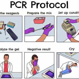 Obrázek 'PCRProtocol'