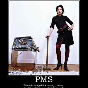 Obrázek 'PMS'