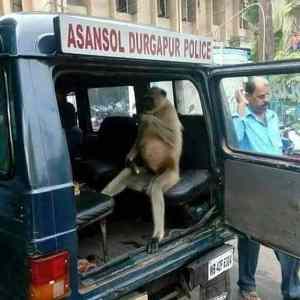 Obrázek 'PS&nbsp;VB'