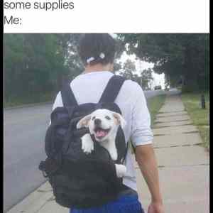 Obrázek 'Pack Some Supplies'