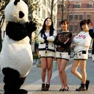 Obrázek 'Panda shorts - 09-05-2012'