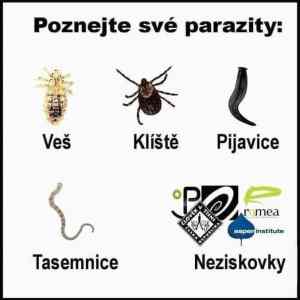 Obrázek 'Parazity'