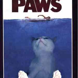 Obrázek 'Paws 01-02-2012'