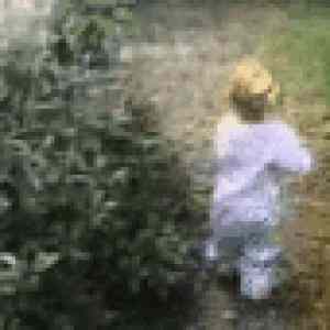 Obrázek 'PedobearAttack'