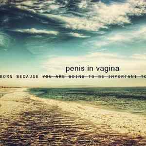 Obrázek 'Penis in vagina 02-10-2008'