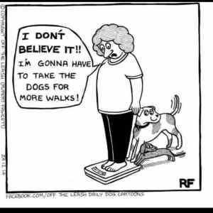 Obrázek 'Persuasive&nbsp;puppies'