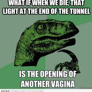 Obrázek 'Philosoraptor Strikes Again'
