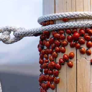 Obrázek 'Photos&nbsp;&nbsp;13'