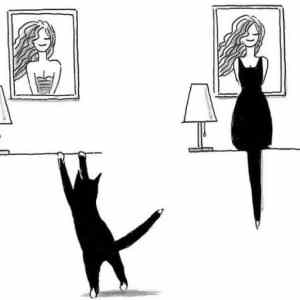 Obrázek 'Picture4890'