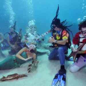 Obrázek 'Picture of the day - Underwater concert in Big Pine Key'
