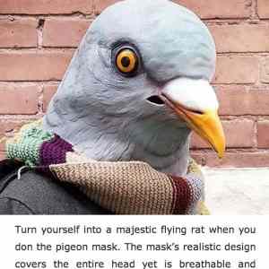Obrázek 'Pigeon Mask Review'