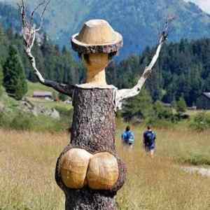Obrázek 'Pinocchio ass'