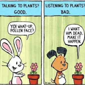 Obrázek 'Plants Good And Bad'