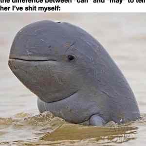 Obrázek 'Please-just-let-me-go'