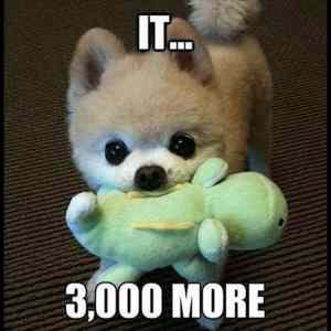 Obrázek 'Please&nbsp;Throw&nbsp;It'