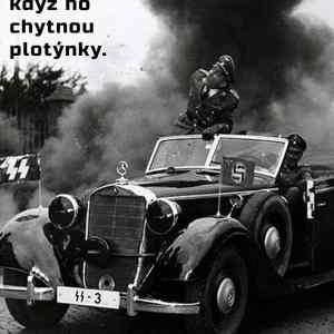 Obrázek 'Plotynky'
