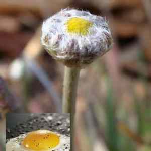 Obrázek 'Podobnost 101211 4'