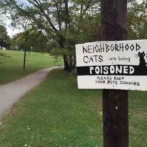 Obrázek 'Poisoned689'