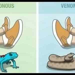 Obrázek 'Poisonous-vs-Venomous'