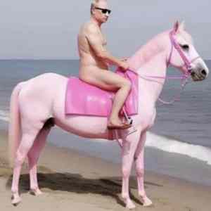 Obrázek 'Polonahy Vladimir Putin se prohanel na koni'