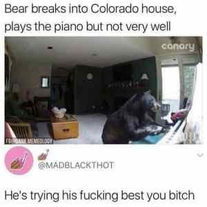 Obrázek 'Poor-Bear'