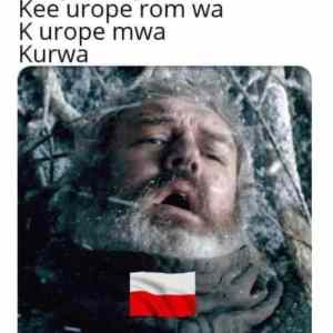 Obrázek 'Poor-Poland'