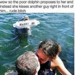 Obrázek 'Poor-dolphin'