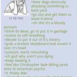 Obrázek 'Poor-possum-1'